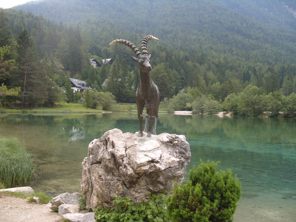 Lake Jasna and the golden horned goat