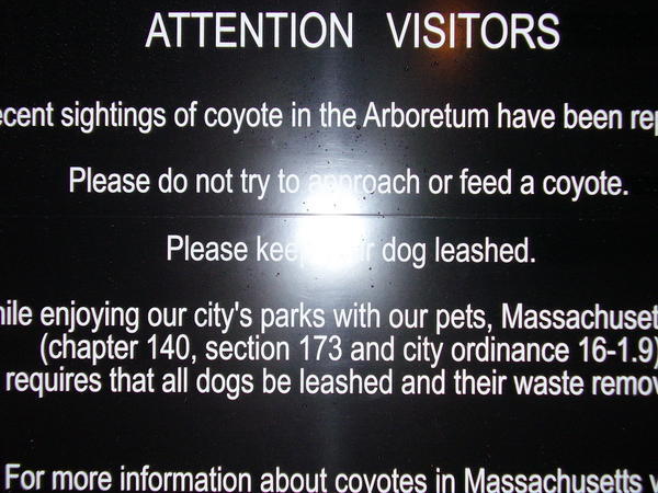 Don't feed the coyotes
