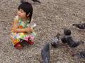 totally cute little girl feeding the pigeons