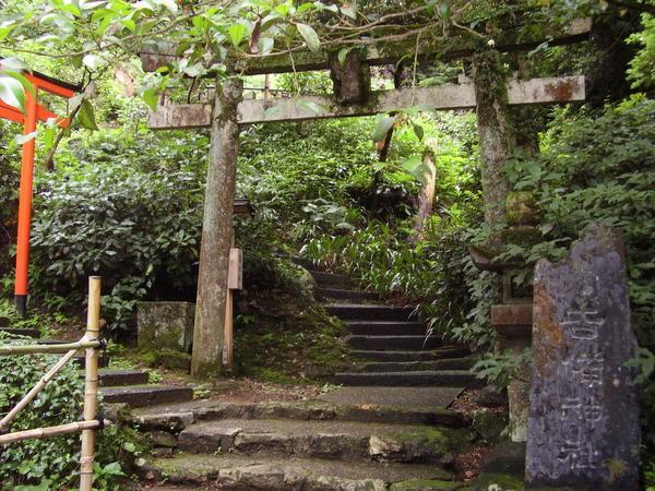 Main Gifu shrine 5
