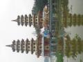 Twin Pagoda in Lotus pond