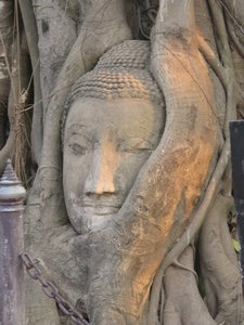 closer look at the Buddha head