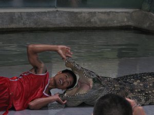 Aligator and its trainer