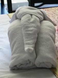 Towels in the shape of Elephant