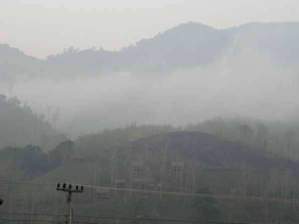 Smog from Hilltribe burning the Bushes