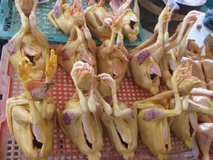 chicken market in Hoi An
