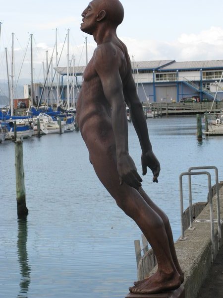 skin dipping in Wellington Harbor