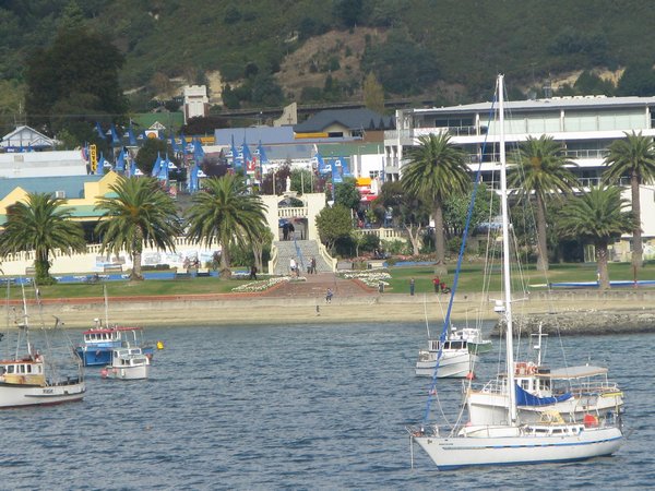 sail boats at Wellington Harbor