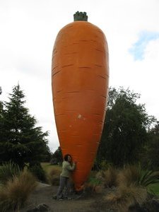 The Big Carrot_NZ