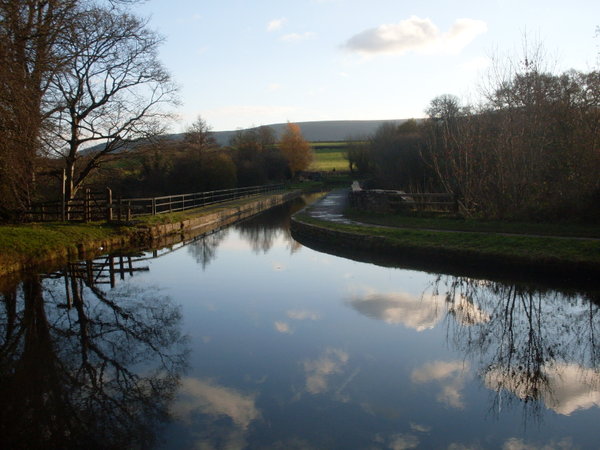 The canal