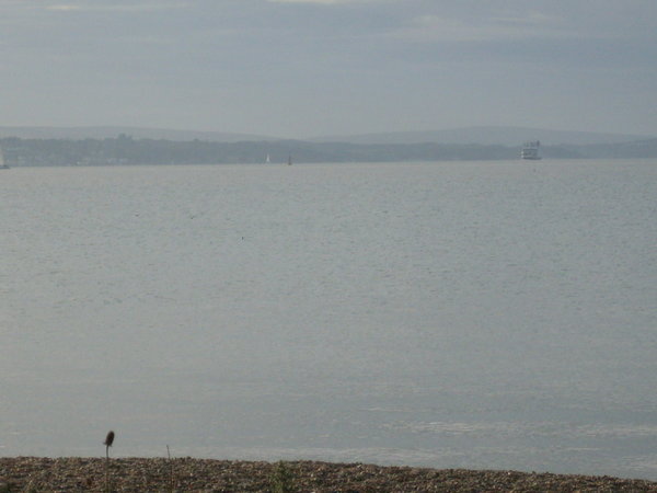When the fog lifted we had great views over the Solent