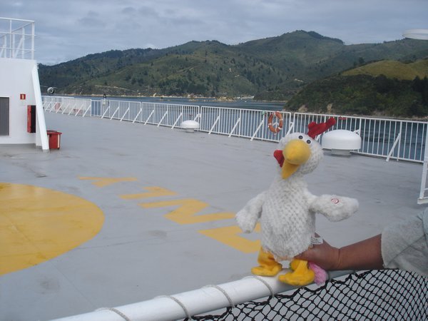 Hanging on the ferry