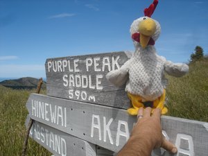 056Purple peak sign