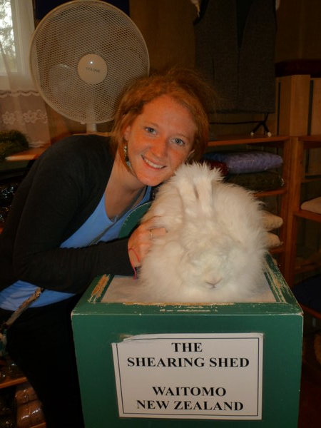 The Rabbit shearing shed