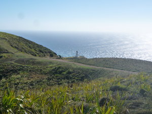 Cape Reinga
