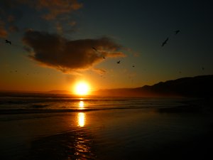 Sunset- Pismo Beach