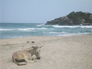 Arecifes beach