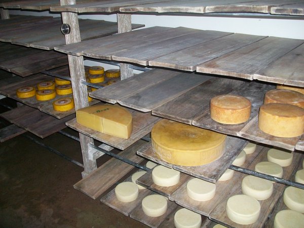 A cheese farm!