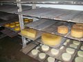 A cheese farm!