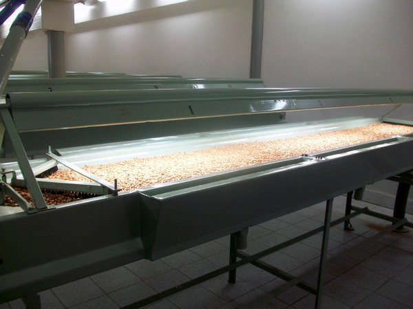 Tour of the peanut factory