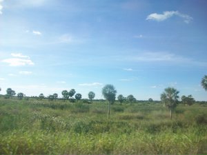 The Chaco landscape