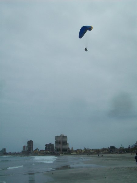 A paraglider coming in to land