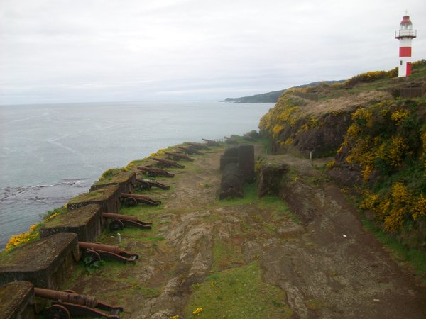 Niebla Fort