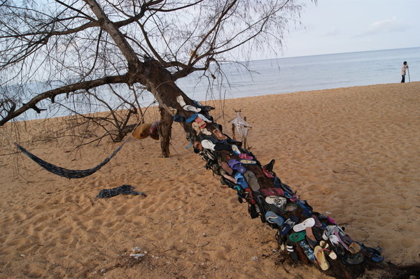 The missing shoes tree