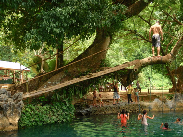 Tree Jump Blue Lagoon