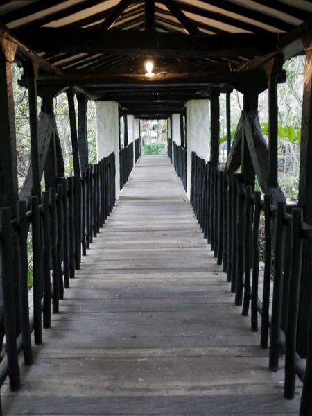 A bridge - Parque Gallineral