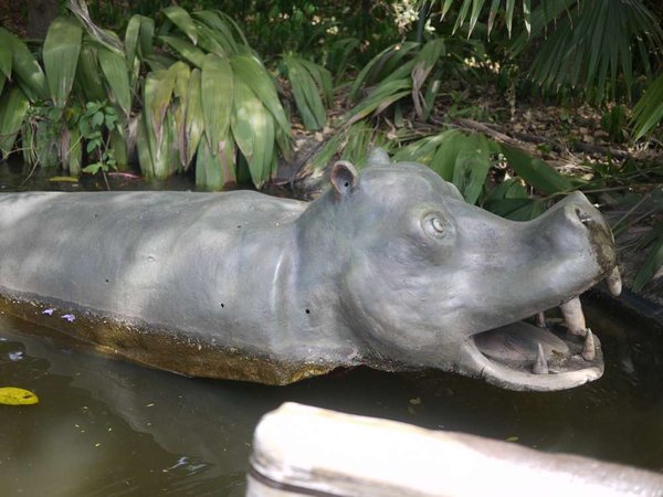 The Water Squirting Hippo on the Tarzan Ride