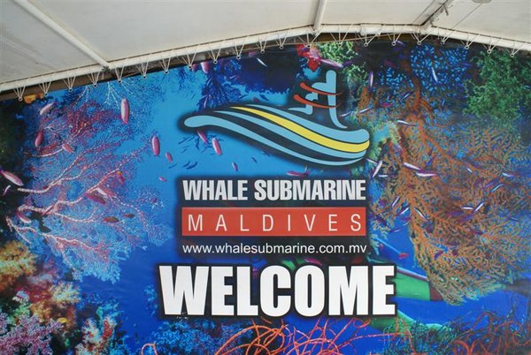 A Whale Submarine