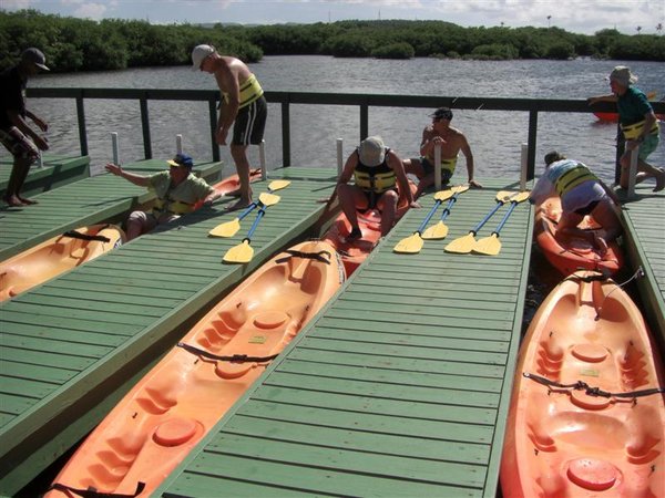 The Kayaks