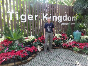 Welcome to Tiger Kingdom