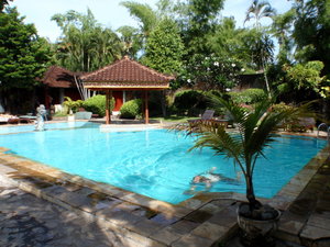 Angsoka hotel pool in Lovina
