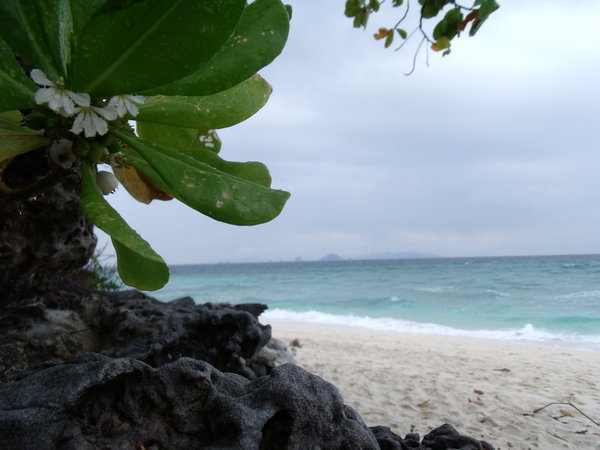 bamboo island before the storm