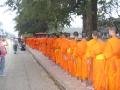 Lots of monks