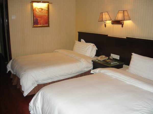 My nice clean beds at Vienna hotel