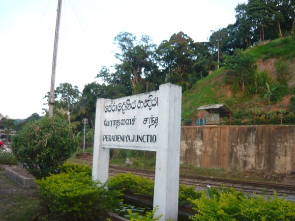 Peradeniya station - diggin' those Sinhalese characters!