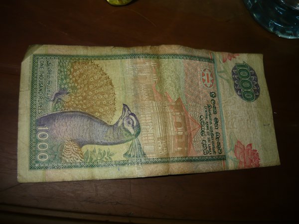 Nice peacock on the old money..