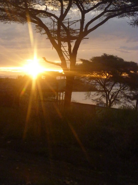 Ethiopian Sunrise
