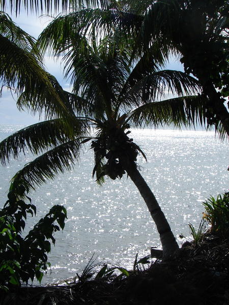 Beach southern Guam 2