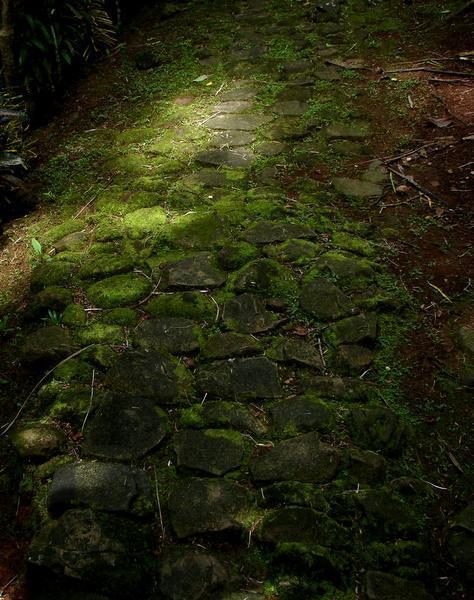 A stone path