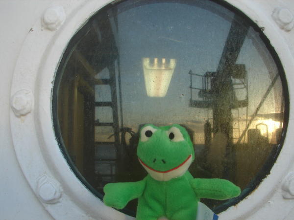 Mr. Frog getting a tour of the ship