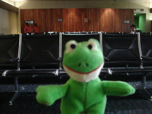 Mr. Frog at Hono International Airport