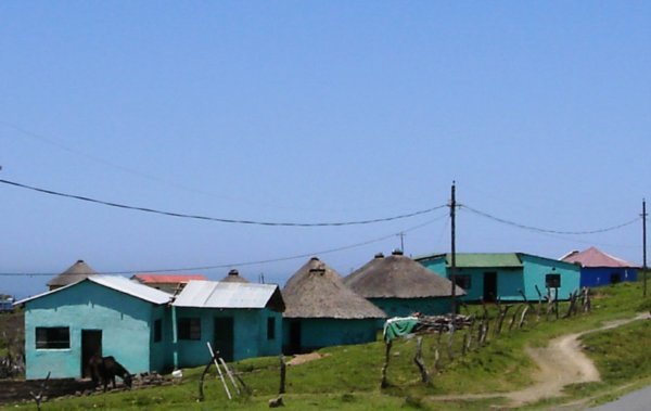 A typical Xhosa village on the way to Coffey Bay