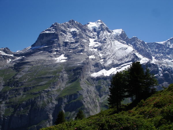 Here she is, the "Jungfrau" - pretty, isn't she