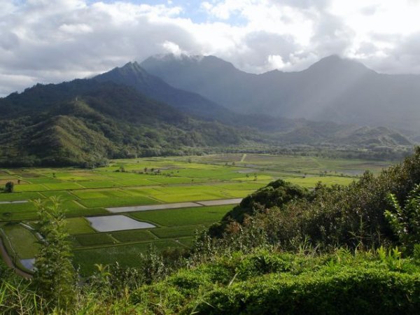 Some picturesque valley on Kaua'i
