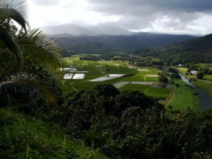 Another pretty valley in Kaua'i