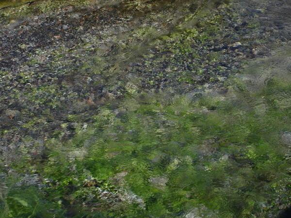 And perfectly clear water near the hot springs